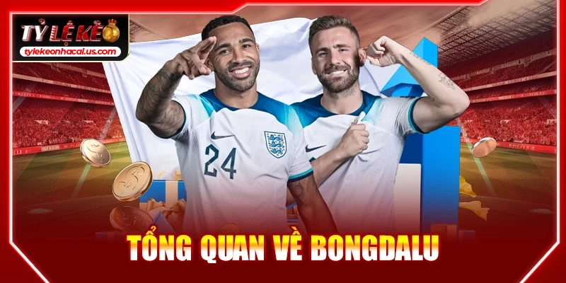 Tổng quan về bongdalu