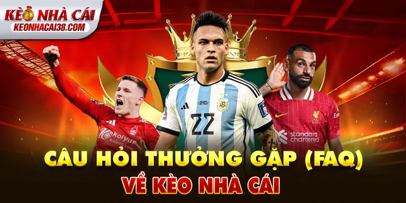 Tỷ Lệ Kèo Nhà Cái 164 FAQ về Kèo Nhà Cái